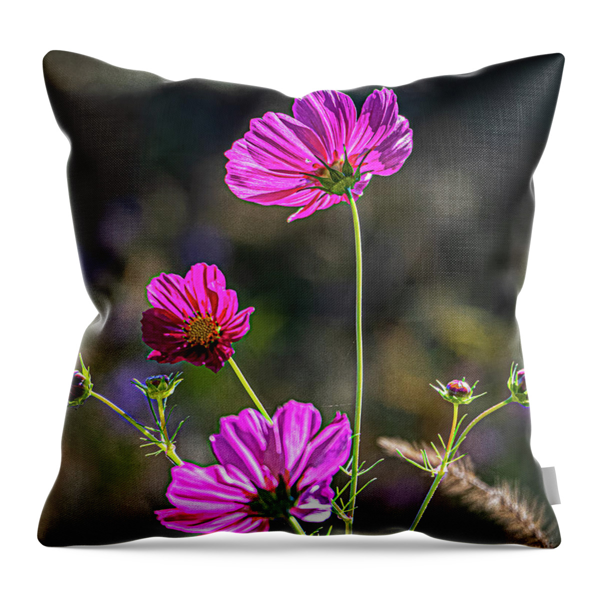 Autumn Throw Pillow featuring the photograph Cosmos by Thomas Marchessault