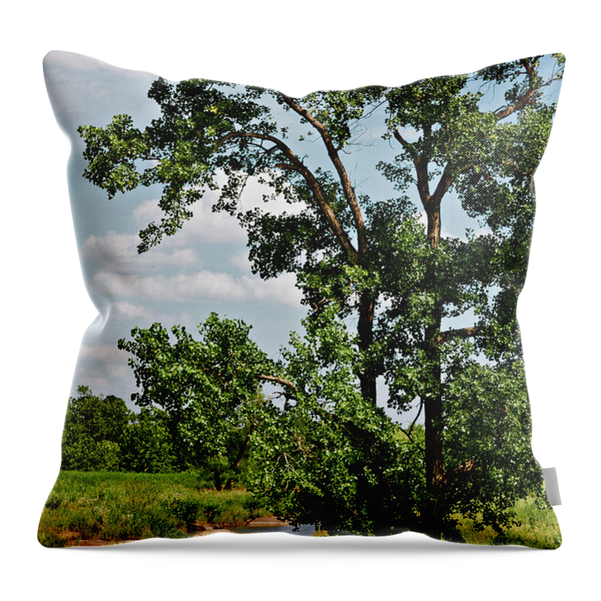 Ok Throw Pillow featuring the photograph Cotton By The Stream by Lana Trussell