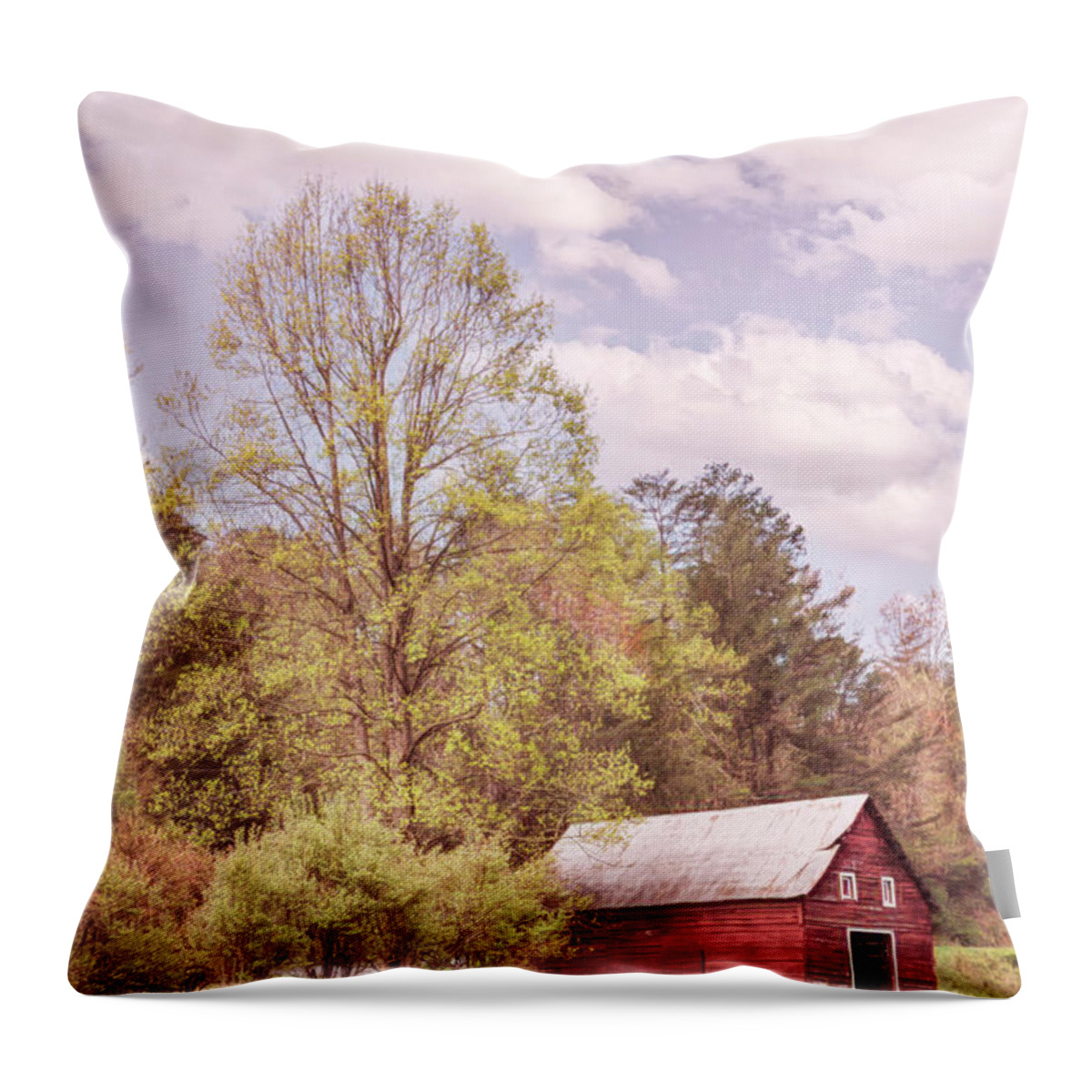 Barns Throw Pillow featuring the photograph Country Barn in the Spring Pastures by Debra and Dave Vanderlaan