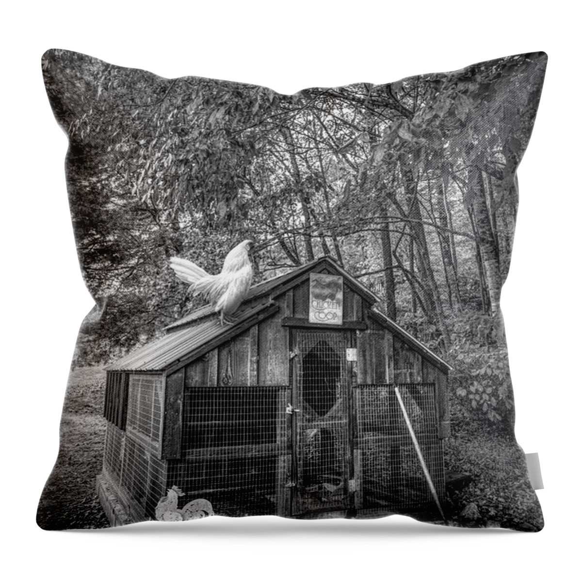 Animals Throw Pillow featuring the photograph Country Chicken Coop Black and White by Debra and Dave Vanderlaan