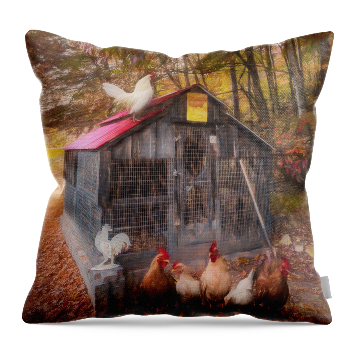 Animals Throw Pillow featuring the photograph Country Chicken Coop Oil Painting by Debra and Dave Vanderlaan