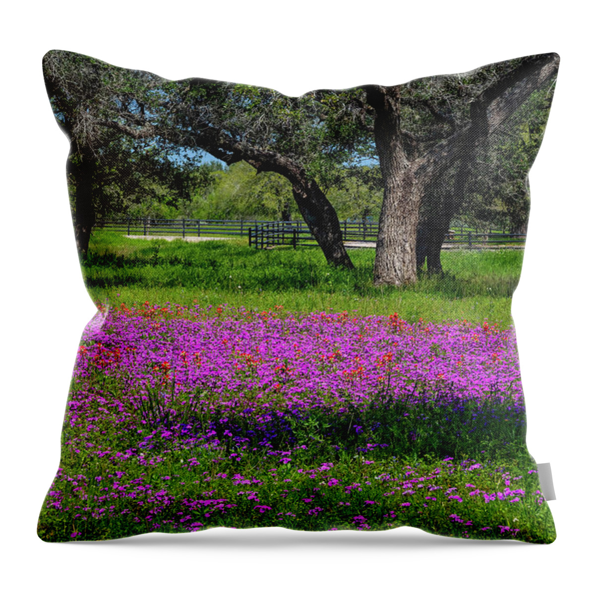 Texas Throw Pillow featuring the photograph Country Heaven by Lynn Bauer