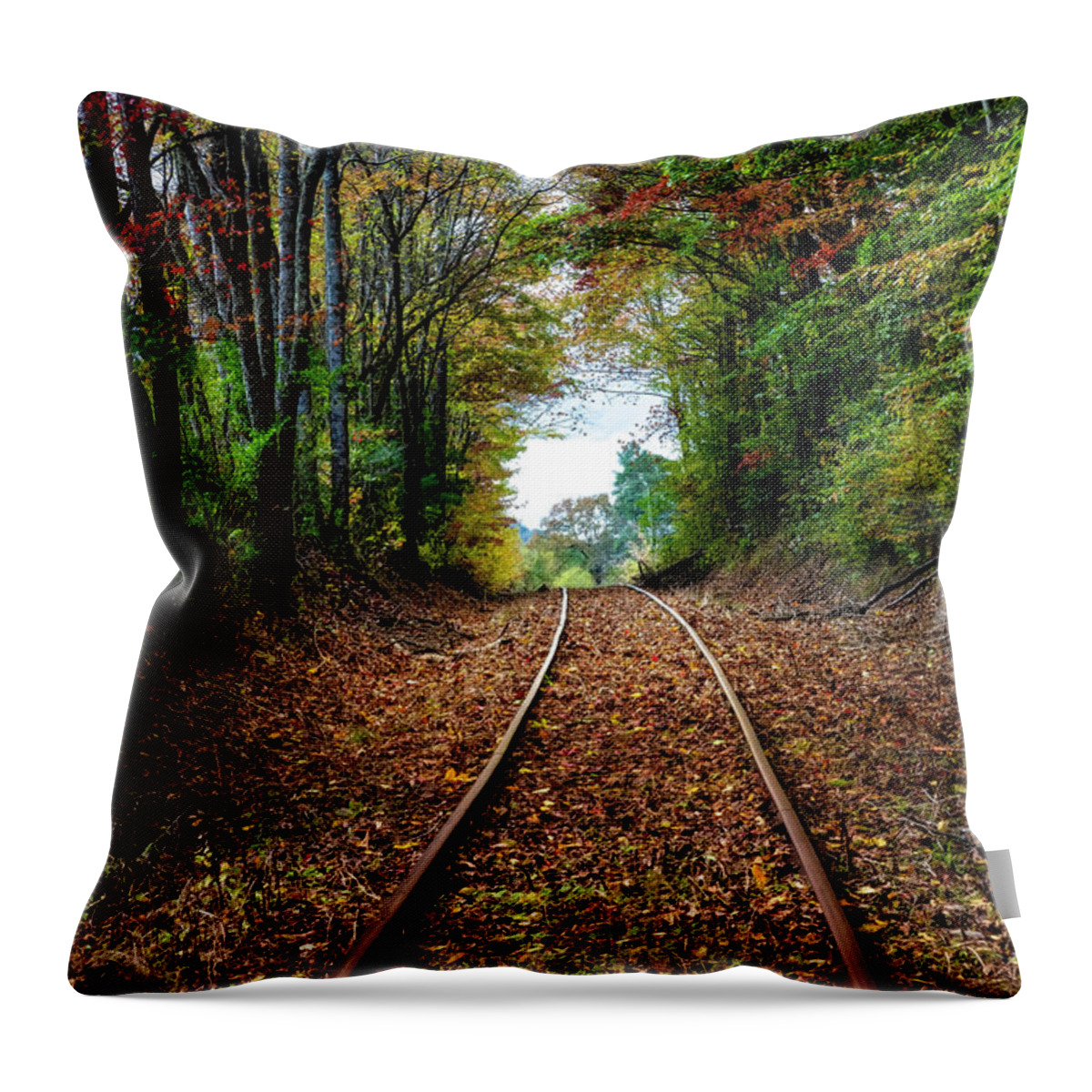 Railroad Throw Pillow featuring the photograph Country Railroads by Debra and Dave Vanderlaan