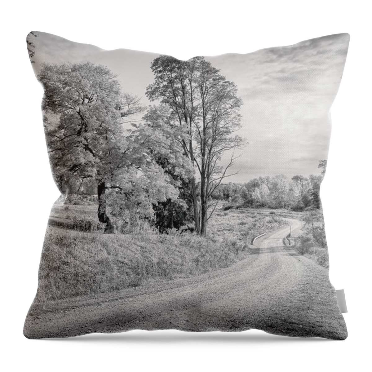 Landscape Throw Pillow featuring the photograph Country Road by John M Bailey