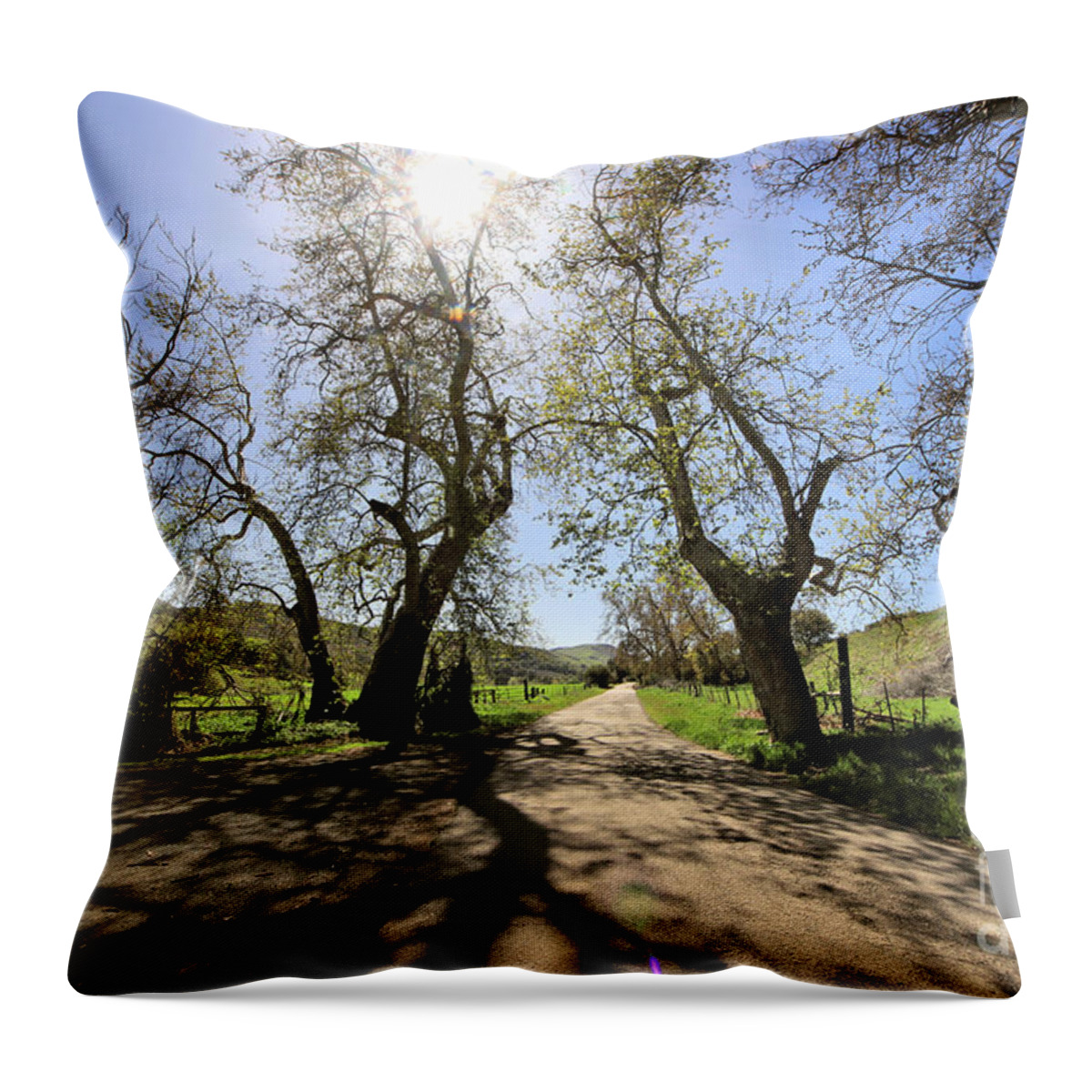 Road Throw Pillow featuring the photograph Country Roads by Vivian Krug Cotton