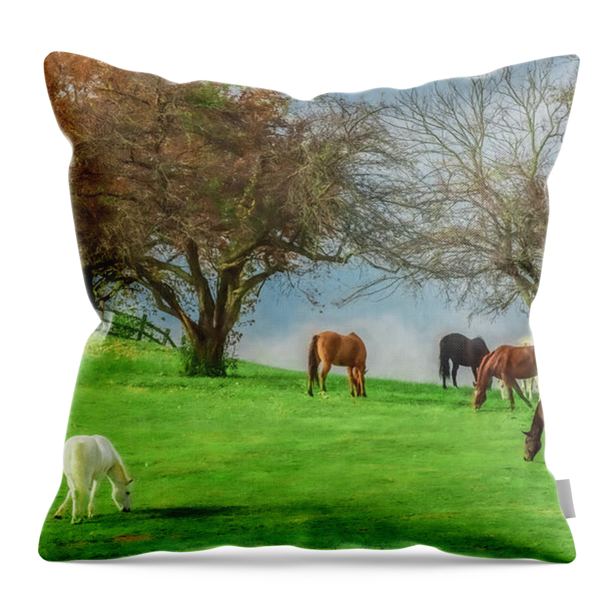 Horses Throw Pillow featuring the photograph County Living by Kevin Lane