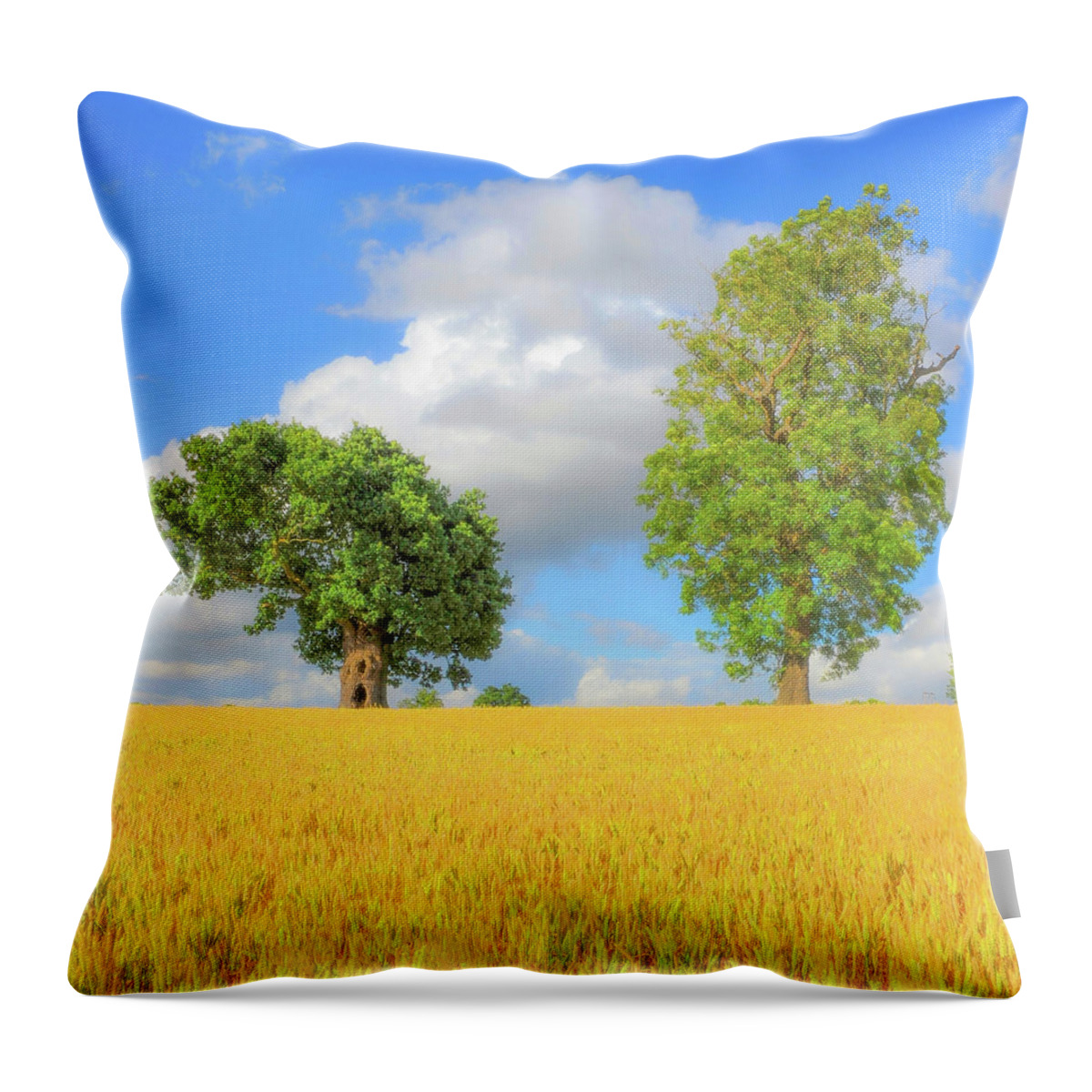 England Throw Pillow featuring the digital art Couple by Remigiusz MARCZAK