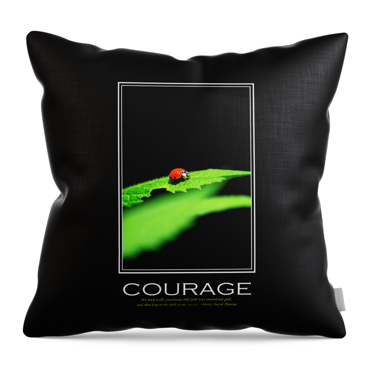Inspiring Throw Pillow featuring the mixed media Courage Inspirational Motivational Poster Art by Christina Rollo