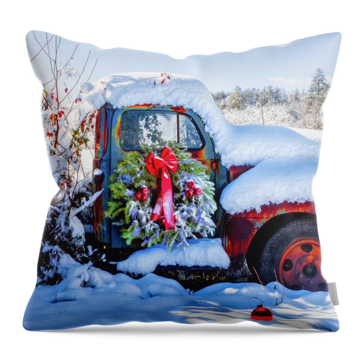 1950 Throw Pillow featuring the photograph Covered in Snow by Debra and Dave Vanderlaan