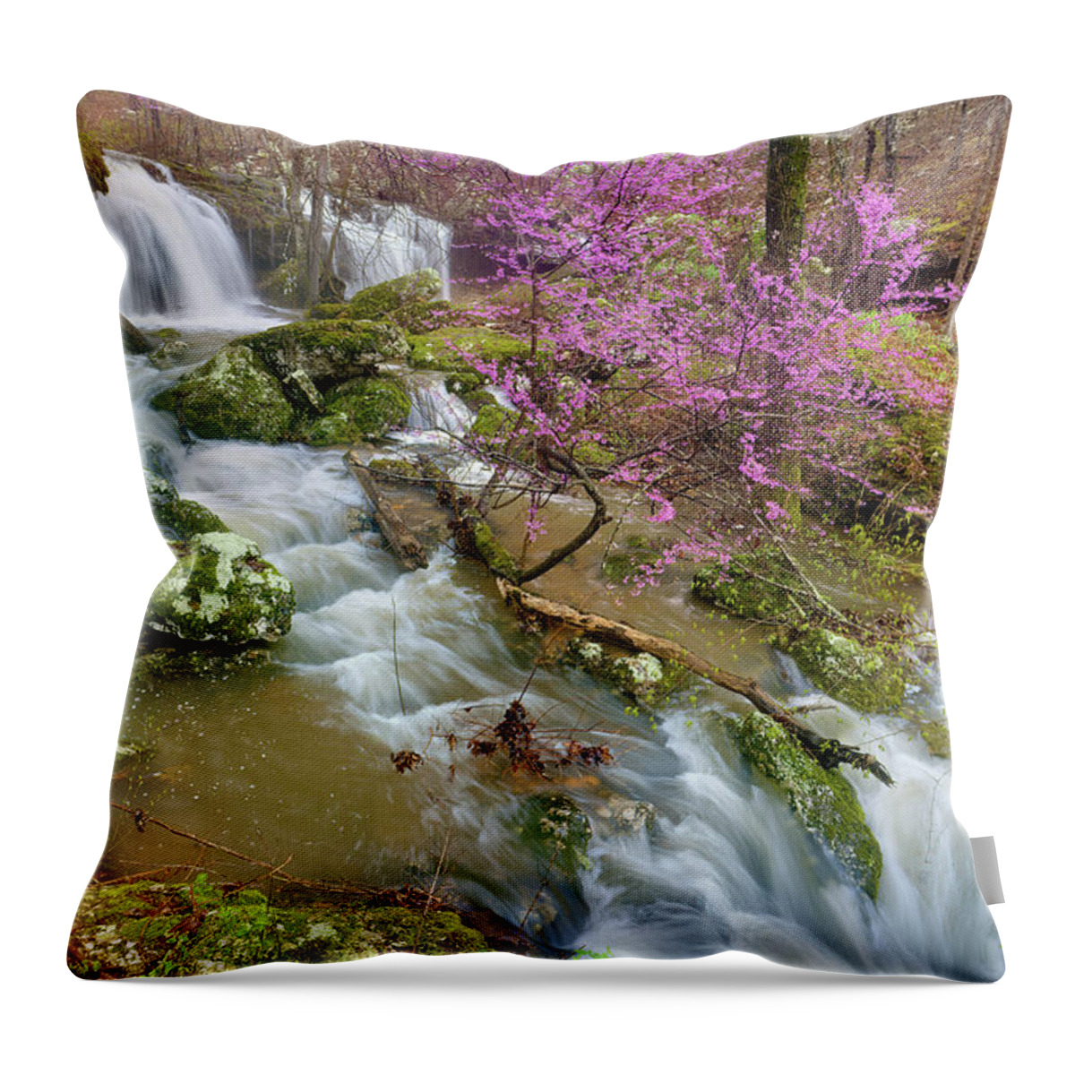 Spring Throw Pillow featuring the photograph Coward's Hollow Shut-ins II by Robert Charity