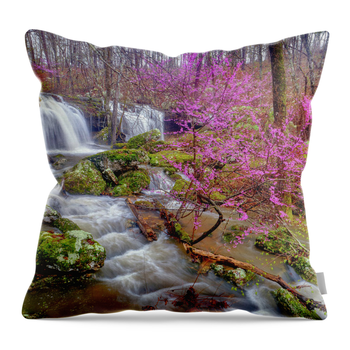 Waterfall Throw Pillow featuring the photograph Cowards Hollow Shut-ins III by Robert Charity