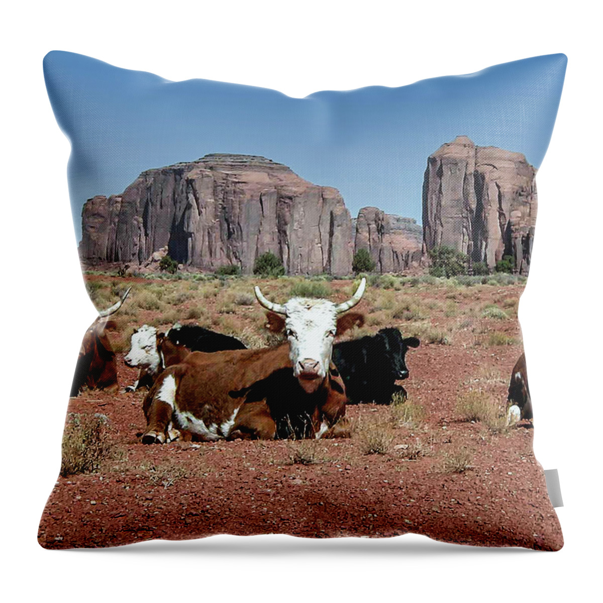 Monument Valley Throw Pillow featuring the photograph Cows in the Mittens by Louis Dallara