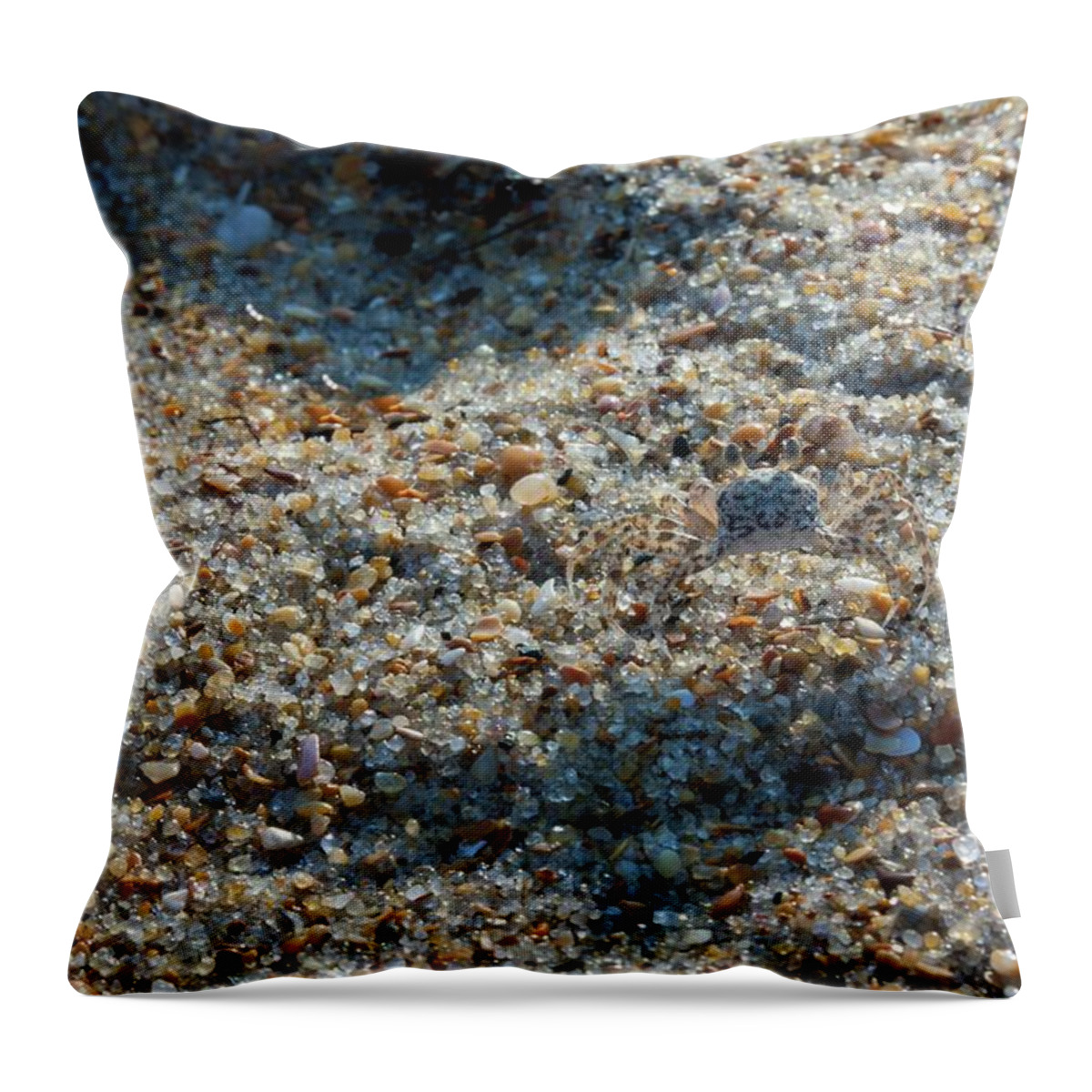 Atlantic Throw Pillow featuring the photograph Crab Camoflage by Liza Eckardt