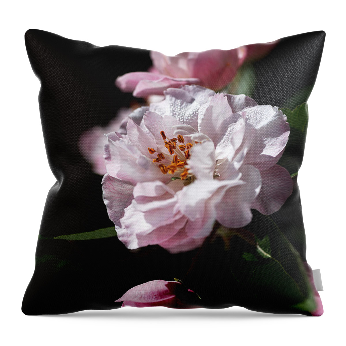 Bubbleblue Throw Pillow featuring the photograph Crabapple Flowers by Joy Watson
