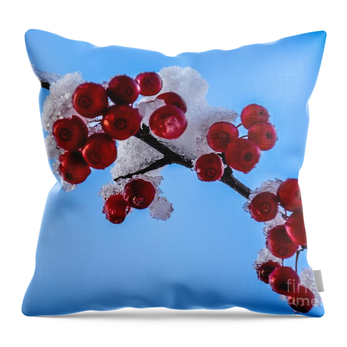 Crabapples Throw Pillow featuring the photograph Crabtree Ornaments by Randy J Heath