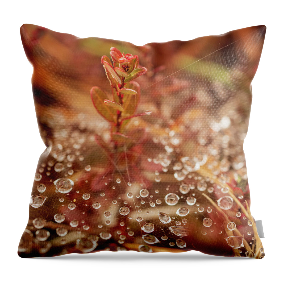 Cranberry Throw Pillow featuring the photograph Cranberry Peaking From A Spider Web by Kristia Adams