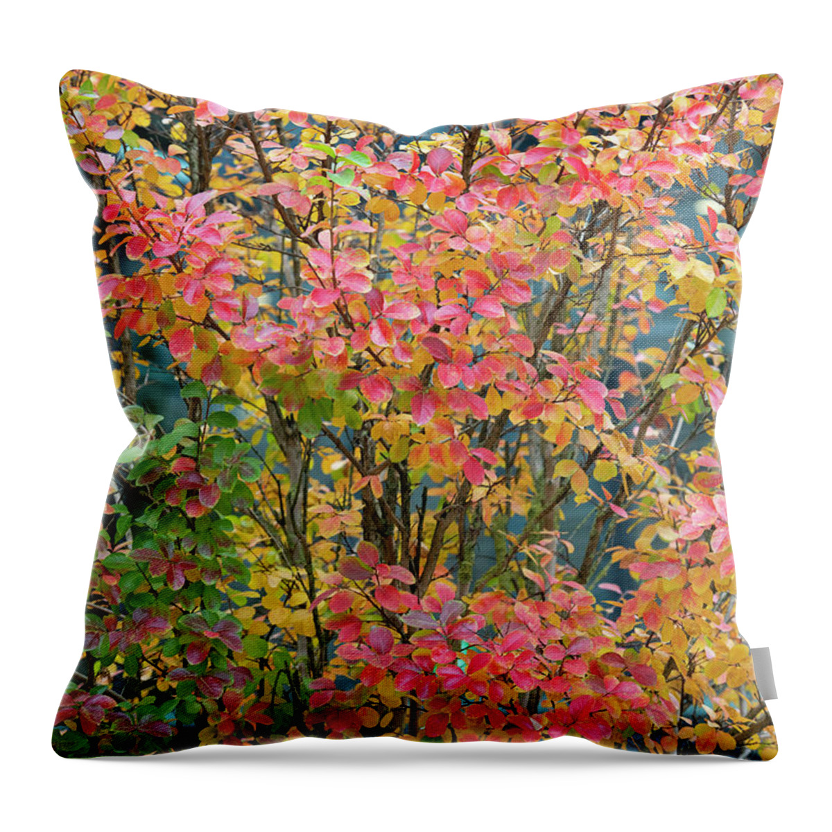 Lagerstroemia Indica Throw Pillow featuring the photograph Crape Myrtle Tree Foliage in Autumn by Tim Gainey