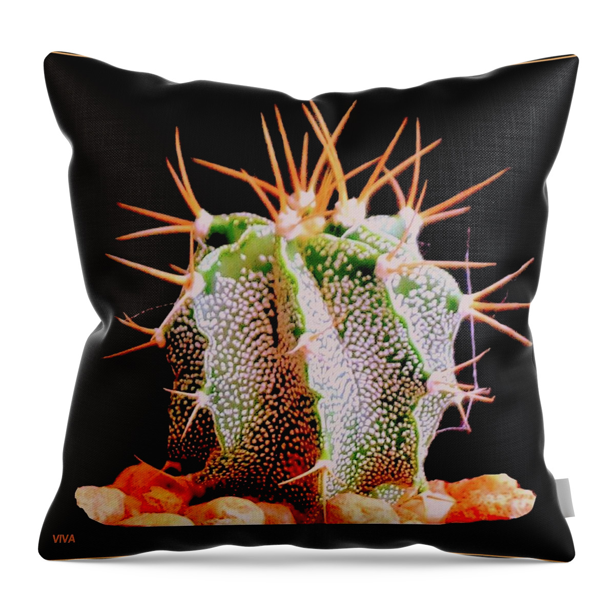 Cactus Throw Pillow featuring the photograph Crazy Cactus by VIVA Anderson