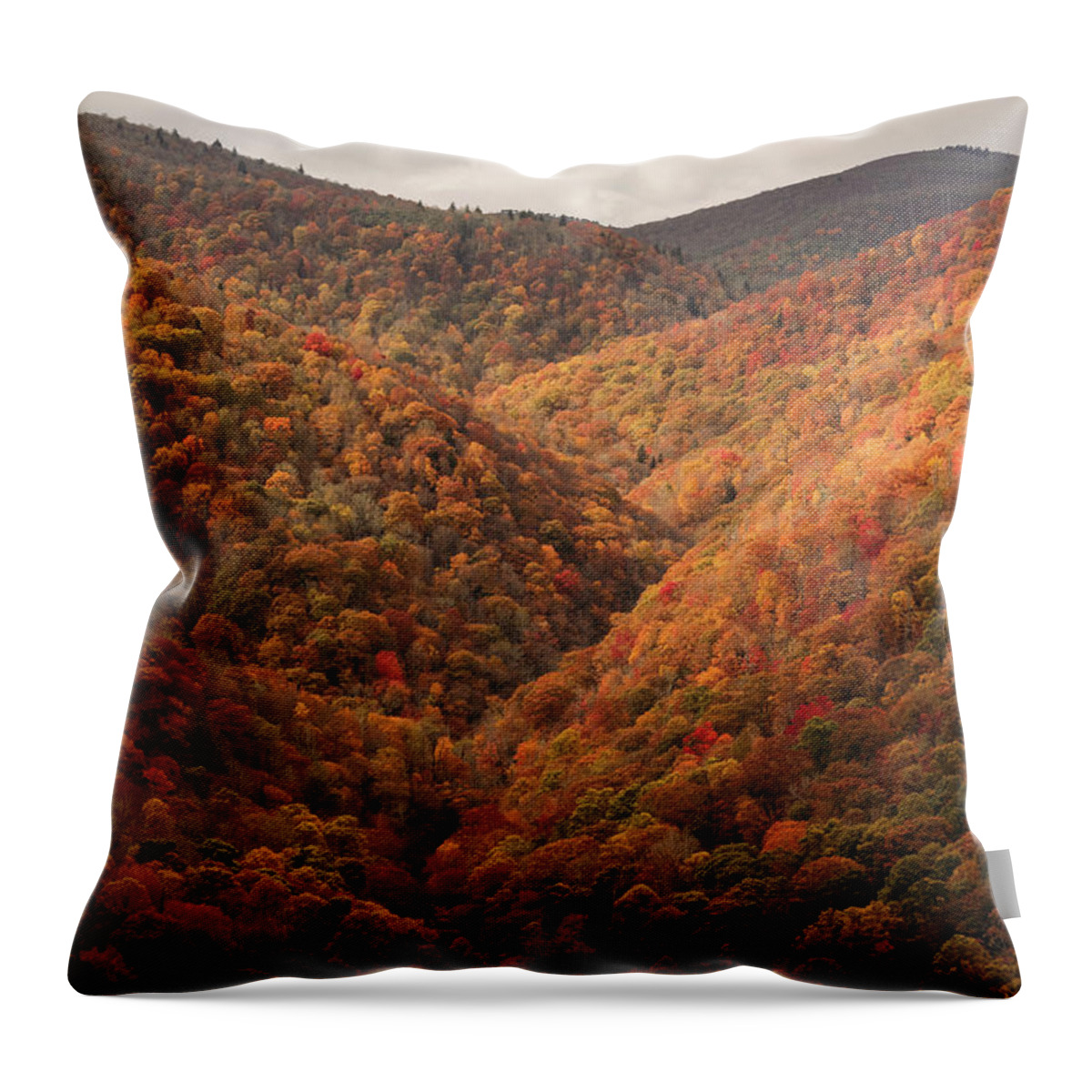 Blue Ridge Parkway Throw Pillow featuring the photograph Crazy Fall Color at Cherry Cove by Joni Eskridge