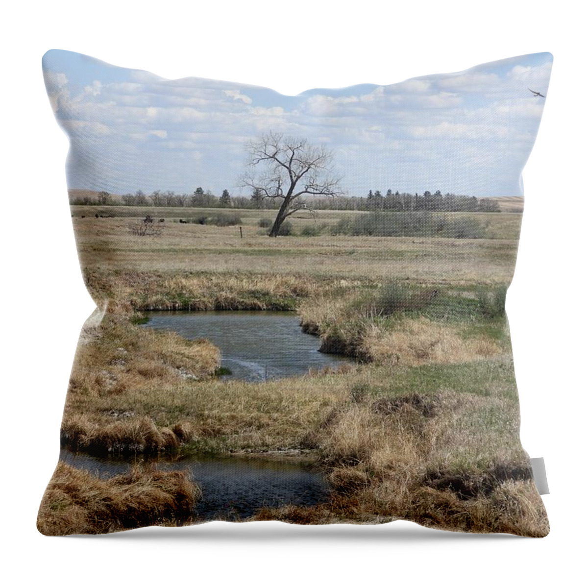 Swallows Throw Pillow featuring the photograph Creek and Flying Swallows by Amanda R Wright
