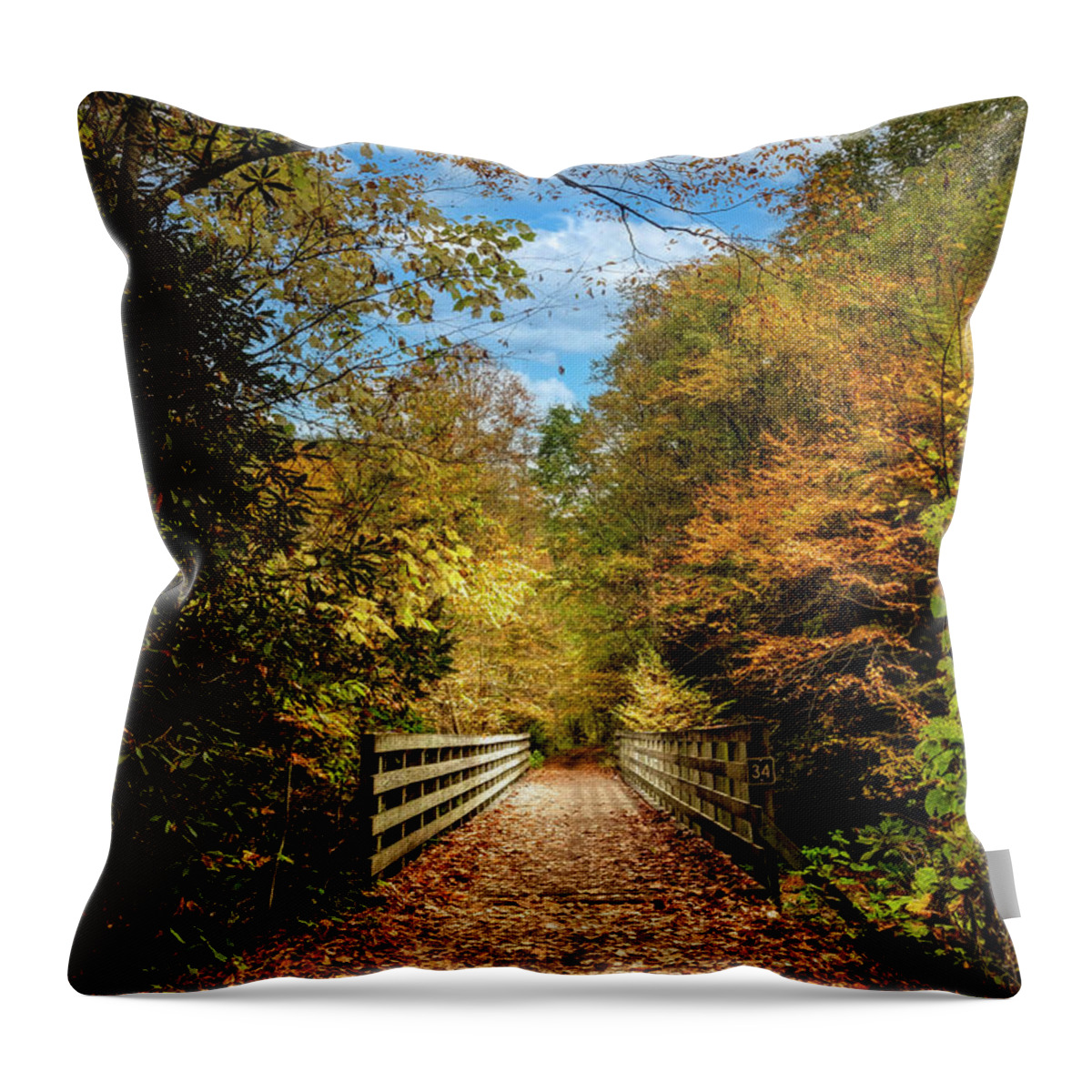 Clouds Throw Pillow featuring the photograph Creeper Trail Wooden Bridge Damascus Virginia by Debra and Dave Vanderlaan