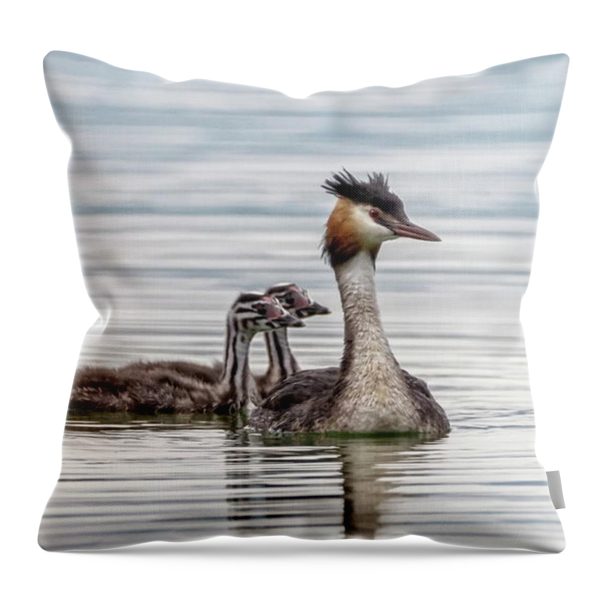 Grebe Throw Pillow featuring the photograph Crested grebe, podiceps cristatus, duck and babies by Elenarts - Elena Duvernay photo