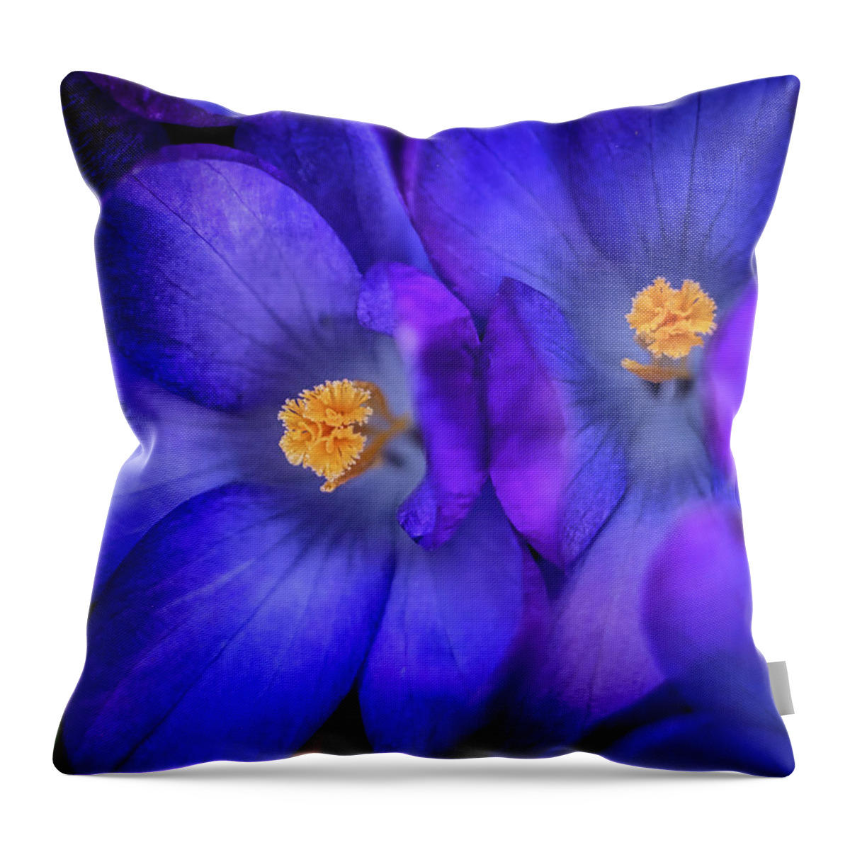 Flower Throw Pillow featuring the photograph Crocus by Dan Eskelson