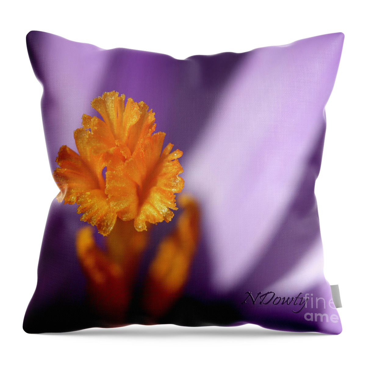  Throw Pillow featuring the photograph Crocus Stamin by Natalie Dowty