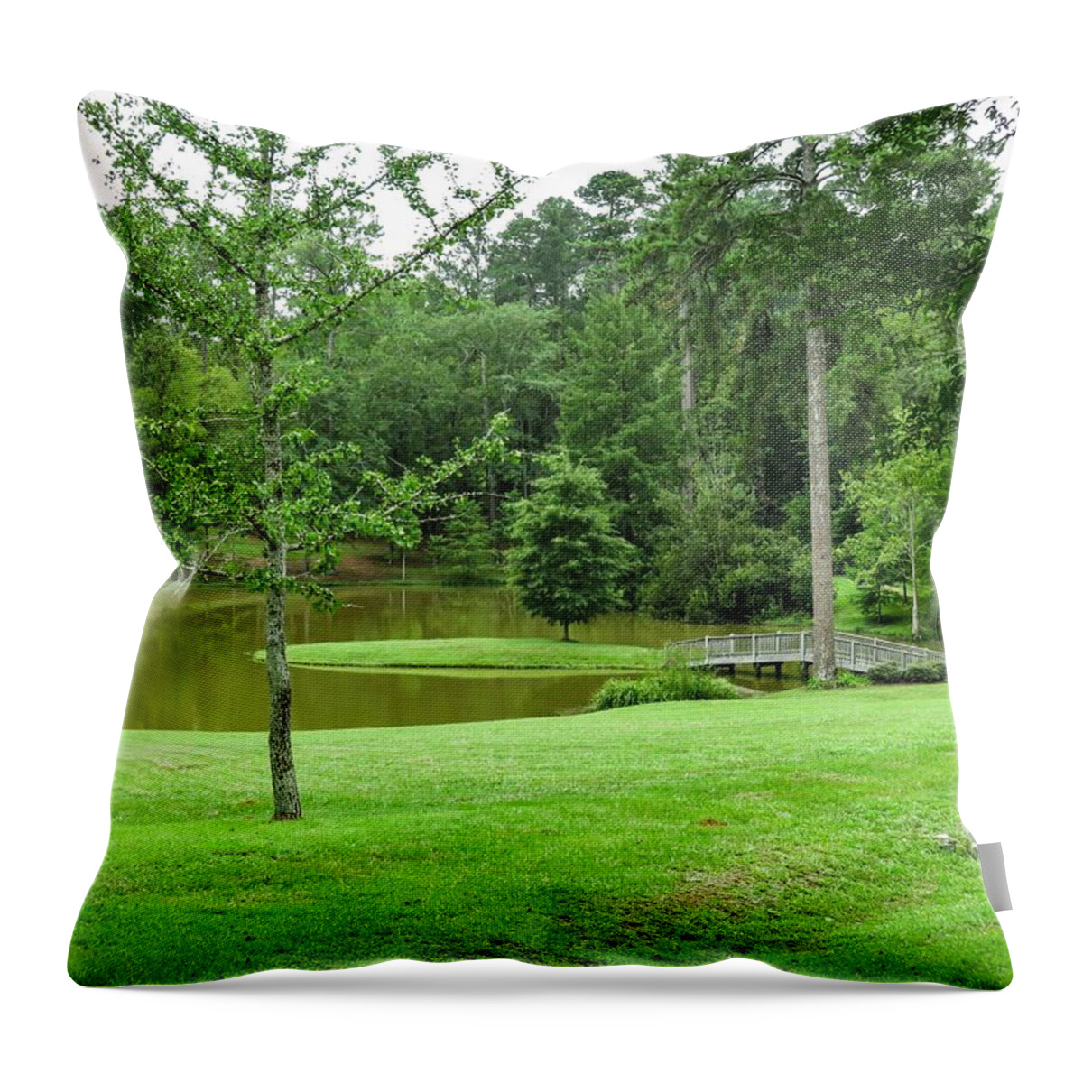 Pond Throw Pillow featuring the photograph Cross The Pond by Ed Williams