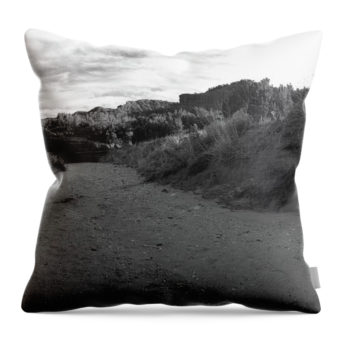 Richard E. Porter Throw Pillow featuring the photograph Crossing the Creek Bed, Caprock Canyons State Park, Texas by Richard Porter
