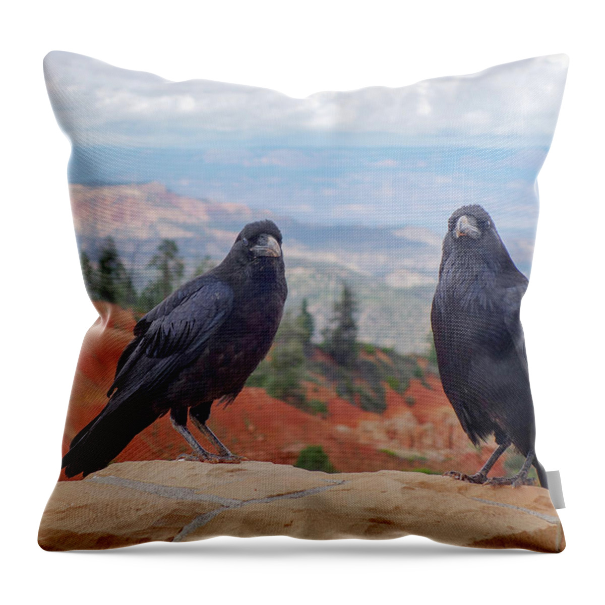 Animal Throw Pillow featuring the photograph Crows at Black Birch Canyon in Bryce by John Twynam