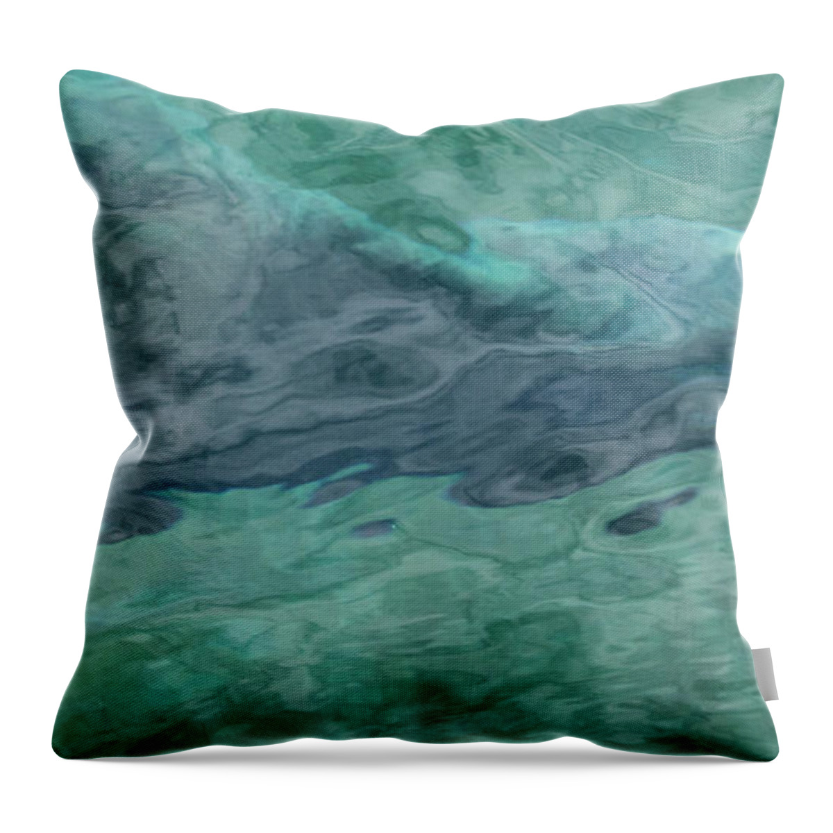 Nature Throw Pillow featuring the photograph Cruisin' by Bob Cournoyer