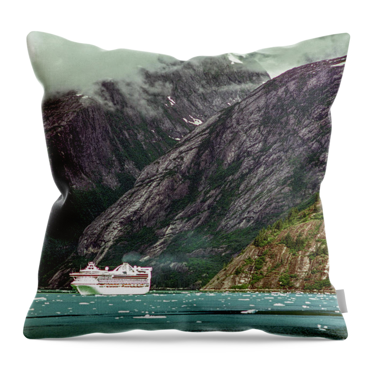 Alaska Throw Pillow featuring the photograph Cruising in Alaska by Randy Bradley