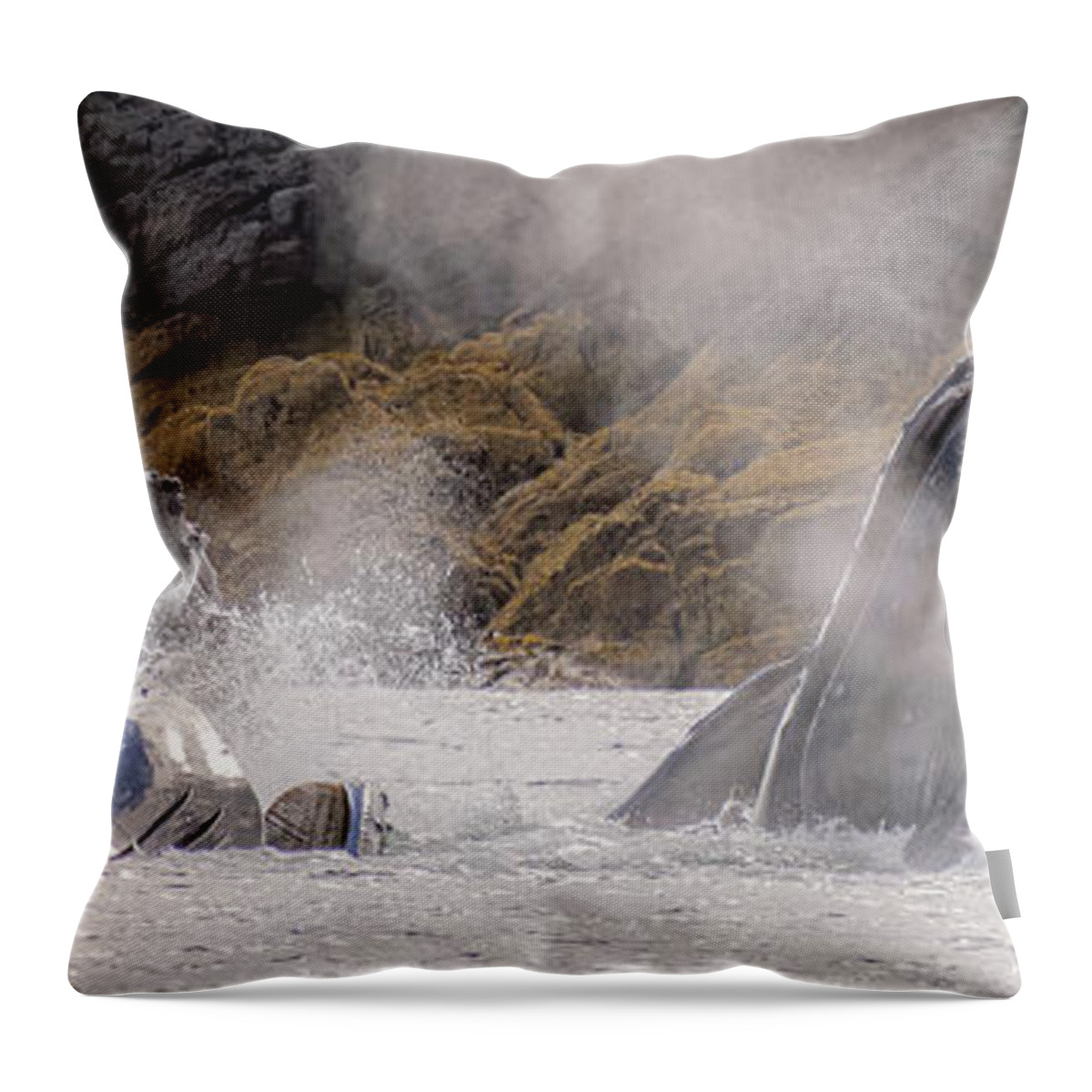 Whales Throw Pillow featuring the photograph Cruising the Shoreline by Michael Rauwolf