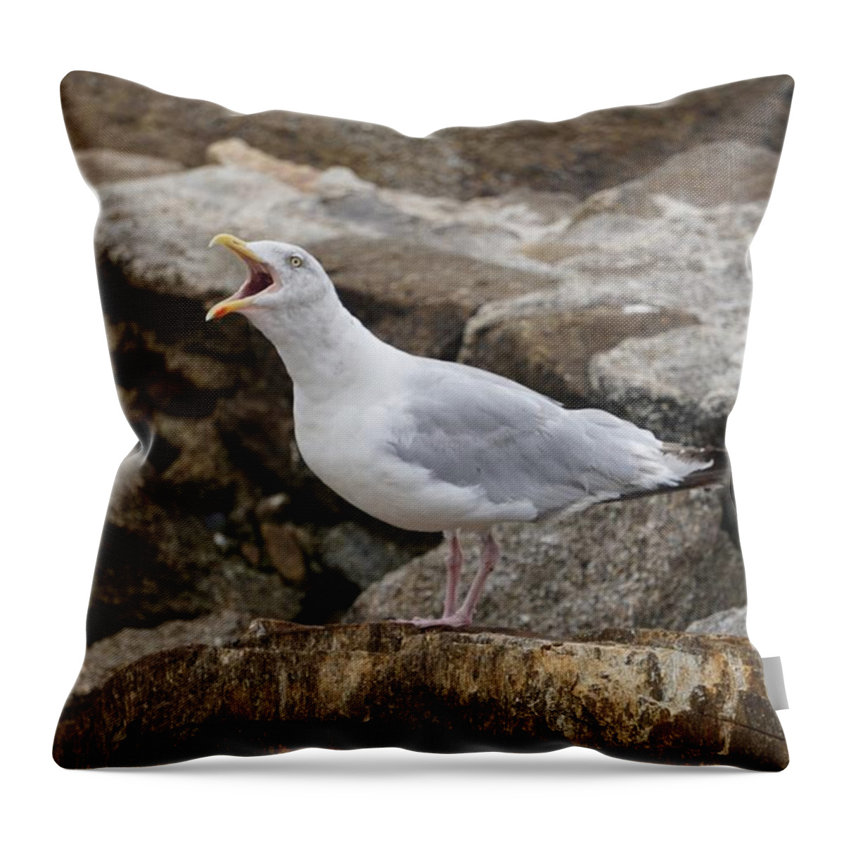 Bird Throw Pillow featuring the painting Cry Of The Seagull by Les Classics