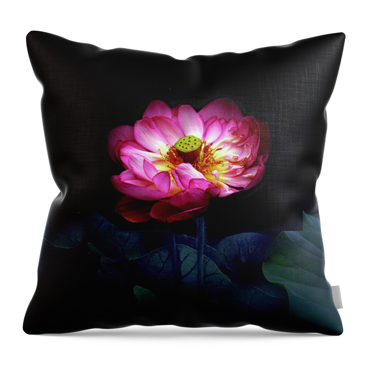 Lotus Throw Pillow featuring the photograph Lotus in Moonlight by Jessica Jenney