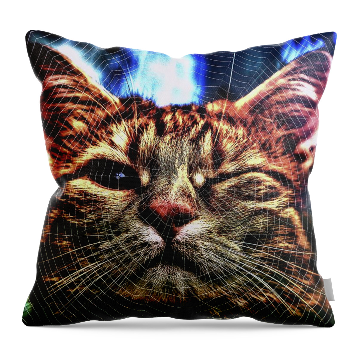 Spider Throw Pillow featuring the digital art Curious by Norman Brule