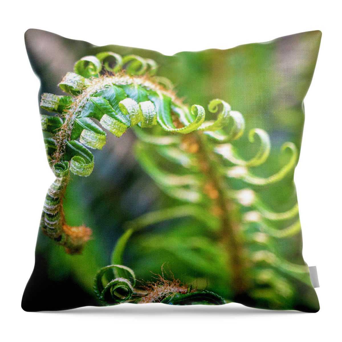Leaves Throw Pillow featuring the photograph Curling Frond by Louise Kornreich