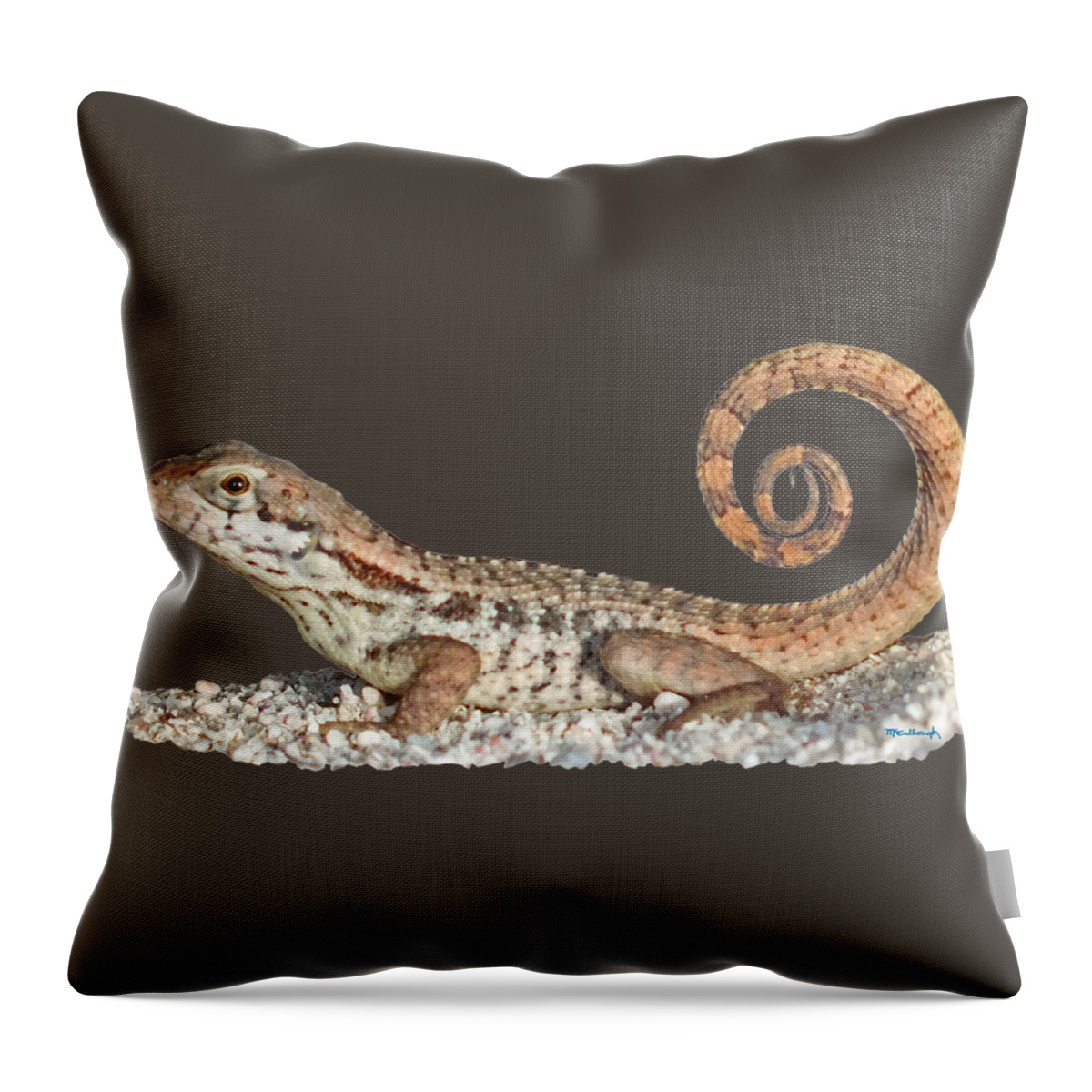 Duanekmccullough Throw Pillow featuring the photograph Curlytail Lizard Clear by Duane McCullough