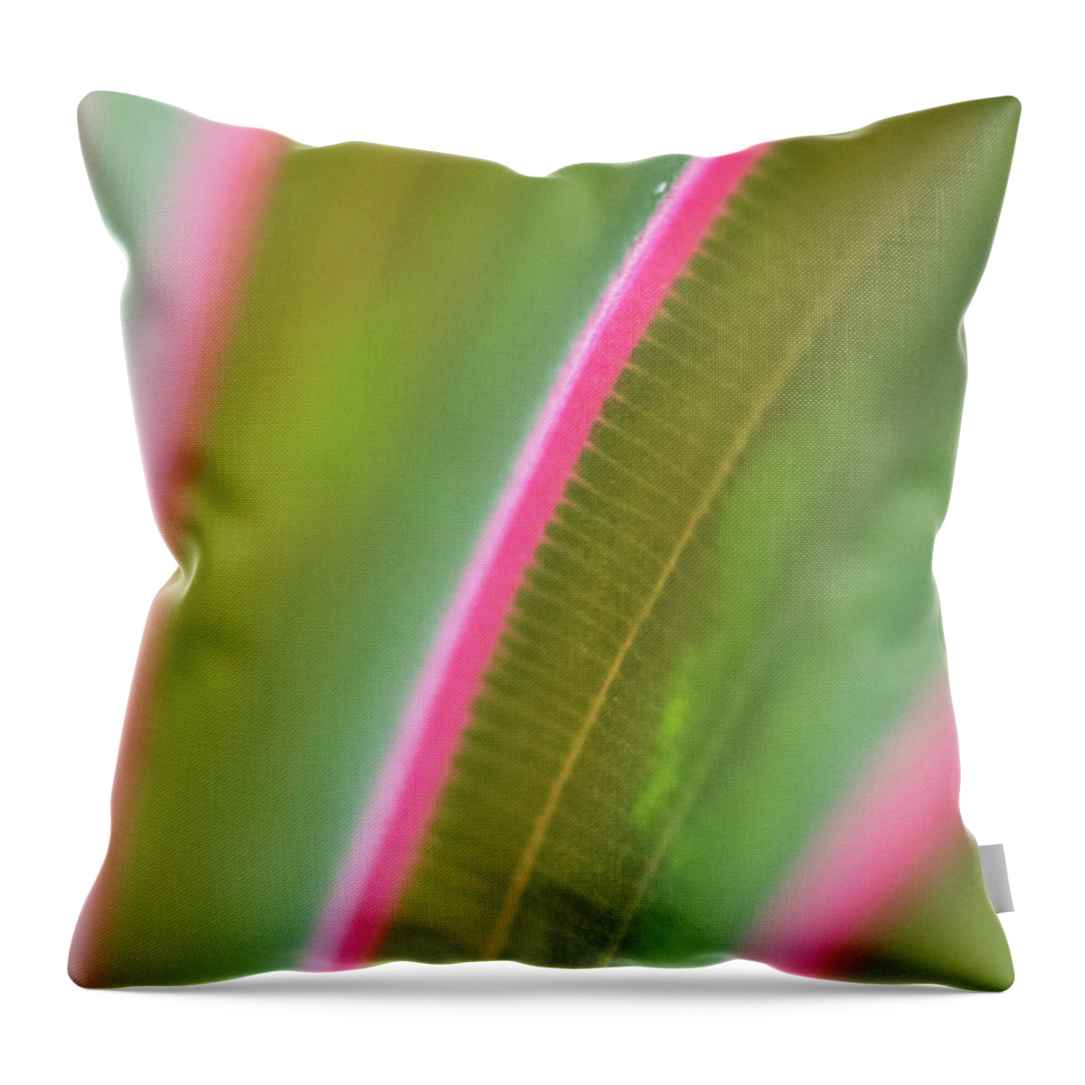 Curve Throw Pillow featuring the photograph Curves From A Prayer Plant Leaf by Phil And Karen Rispin