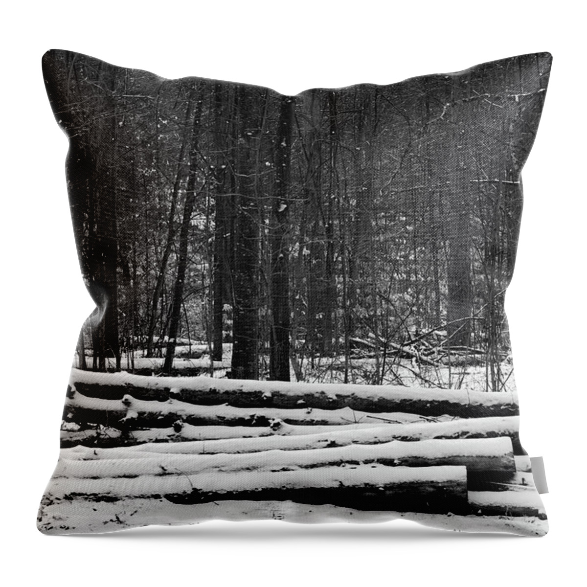Black And White Throw Pillow featuring the photograph Cut logs in Simcoe County Forest by James Canning