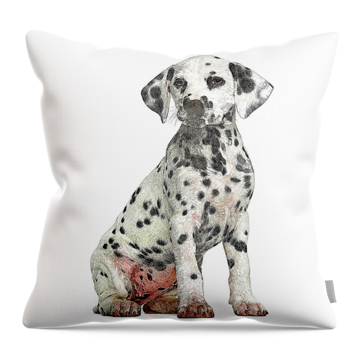 Dalmation Throw Pillow featuring the painting Cute but Savage, Young Dalmation Dog by Custom Pet Portrait Art Studio