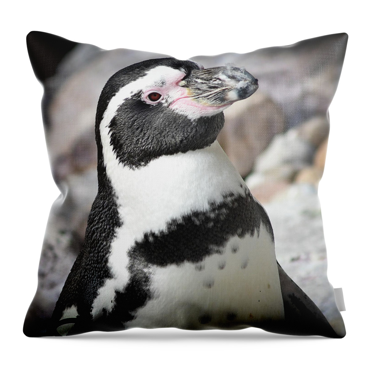 Penguin Throw Pillow featuring the photograph Cute Penguin by Michelle Wittensoldner