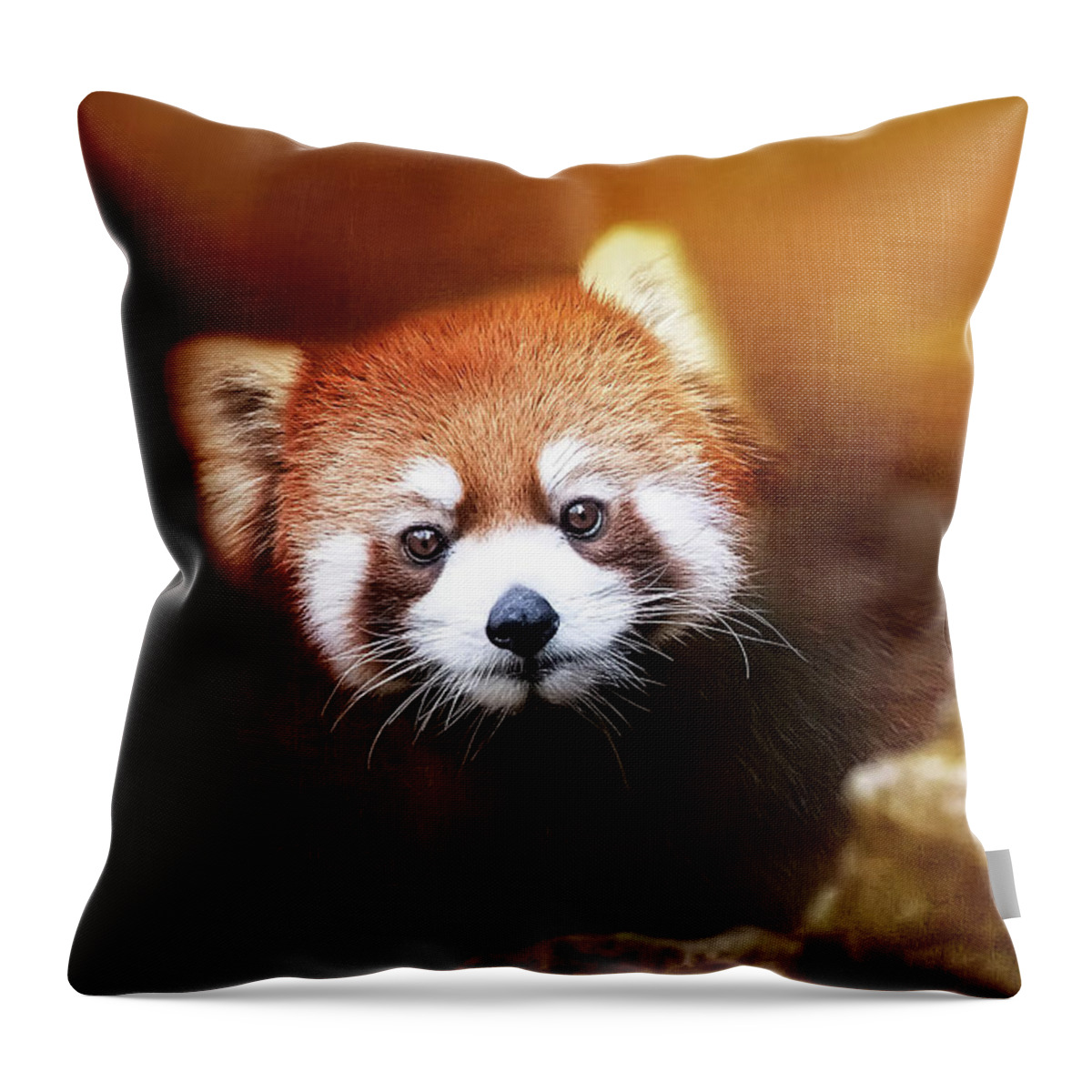 Red Throw Pillow featuring the mixed media Cuteness Wears Red by Ed Taylor