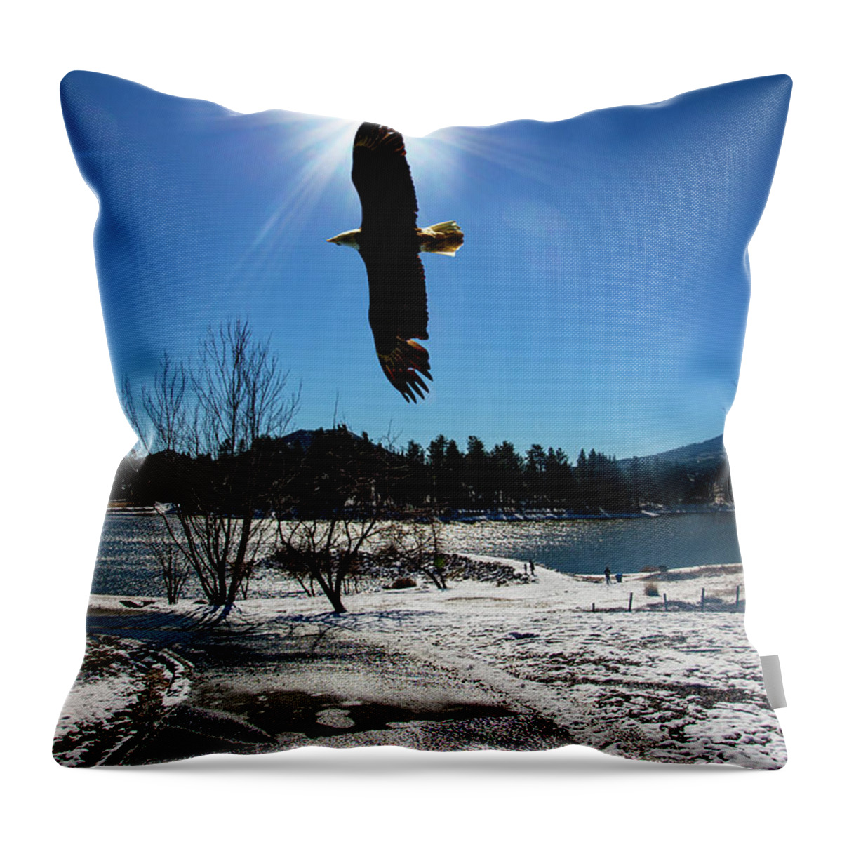Bald Eagle Throw Pillow featuring the photograph Cuyamaca Eagle by Anthony Jones