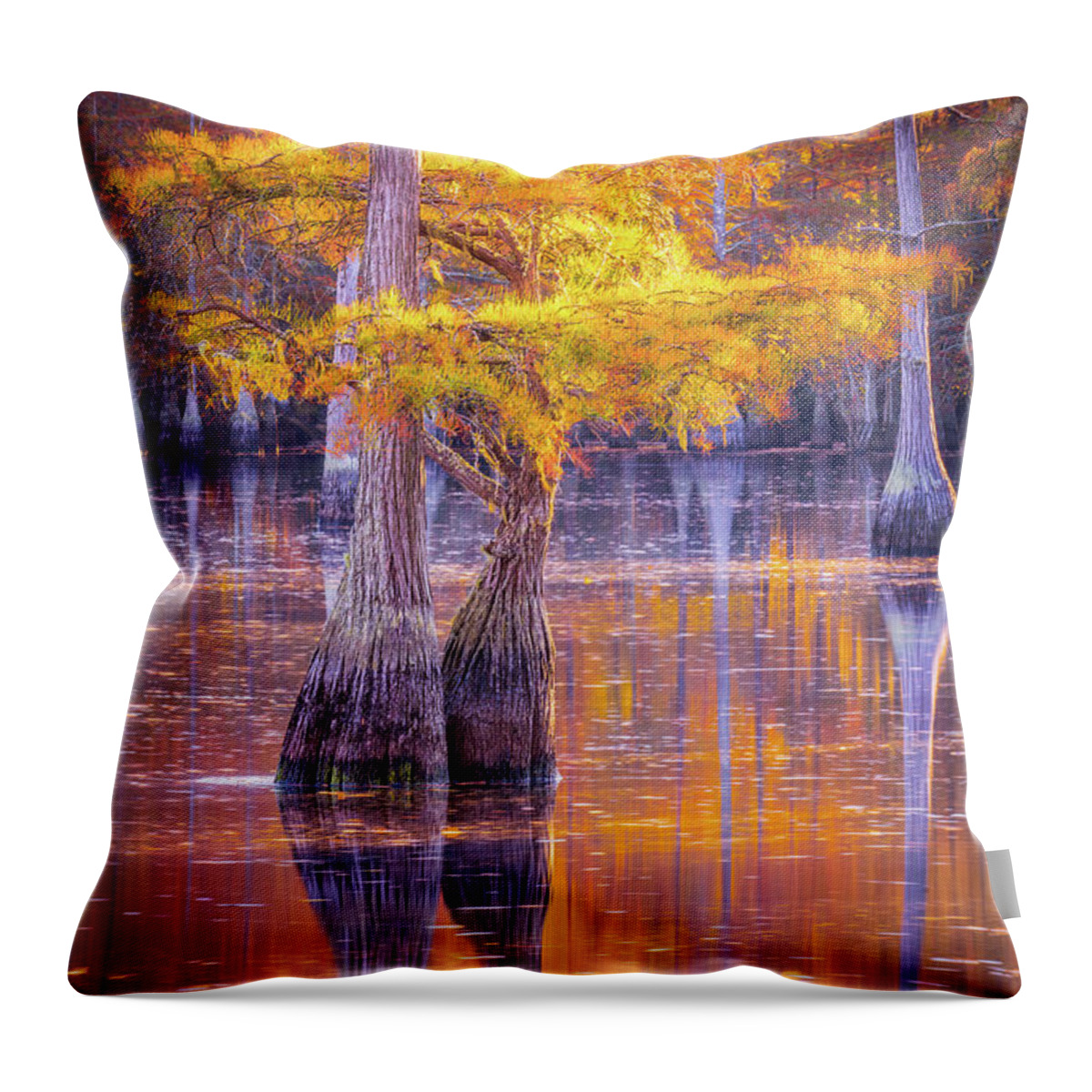 Reflections Throw Pillow featuring the digital art Cypress by Kevin McClish