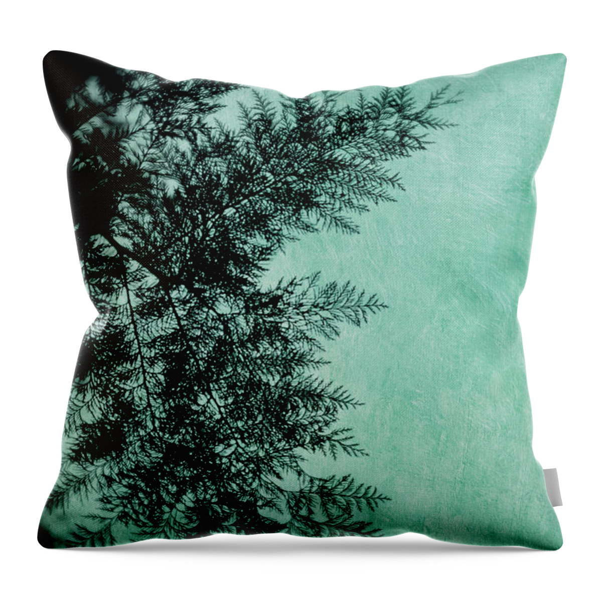 Branch Throw Pillow featuring the photograph Cypress by Priska Wettstein