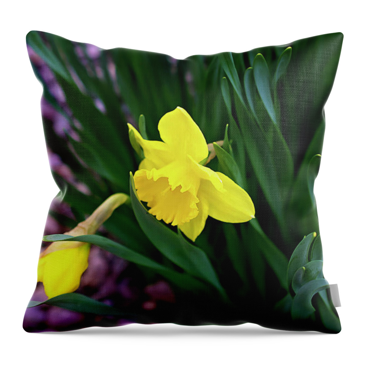 Daffodil Print Throw Pillow featuring the photograph Daffodil Print by Gwen Gibson