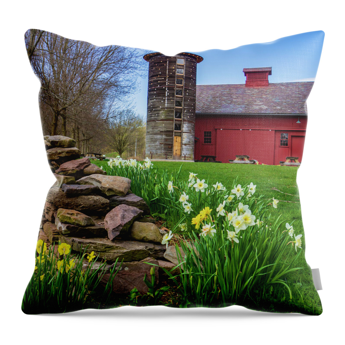 Farm Throw Pillow featuring the photograph daffodils springtime on Vermont farm by Ann Moore