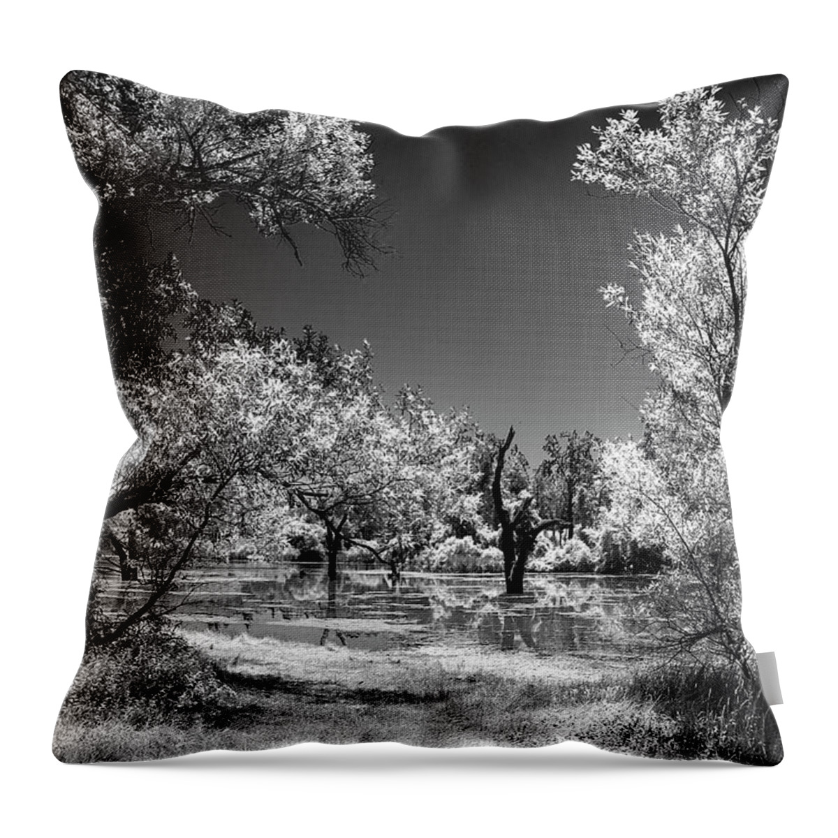 Photograph Throw Pillow featuring the photograph D'Agostini Reservoir by Beverly Read